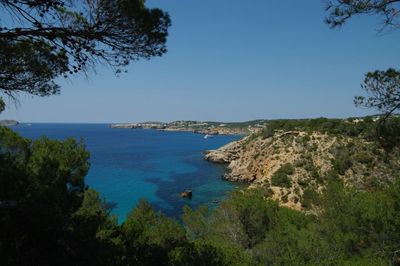 CALA MOLI